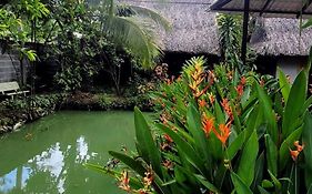 Phuc Sinh Homestay